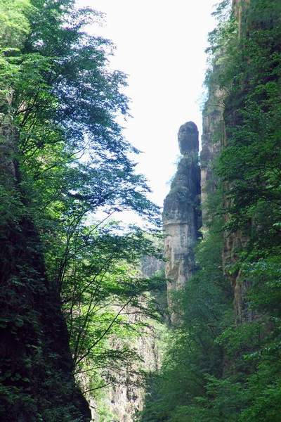 百里峽邊，白草畔巔；放松心情，迎接挑戰。